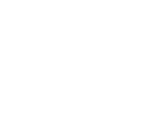 Arzen Covoare